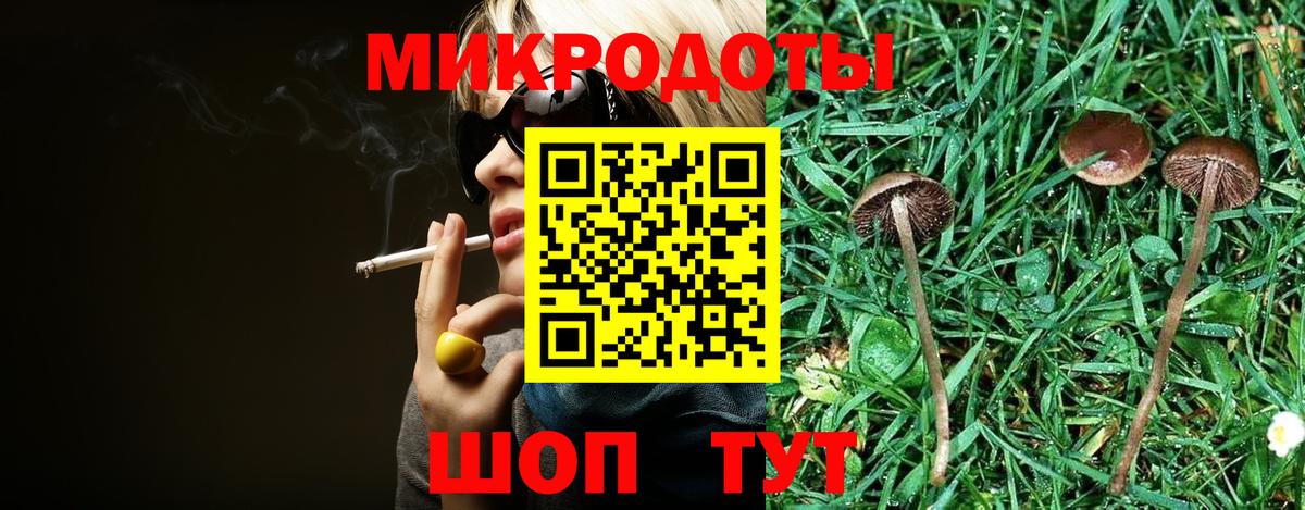 Курчалой  Галлюциногенные грибы мухоморы  где продают   Вход с VPN 