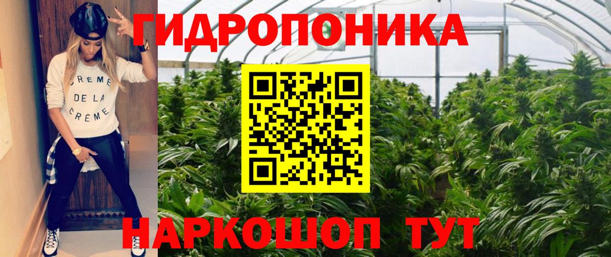 Шишки марихуана VHQ Курчалой